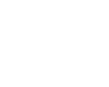 white home icon