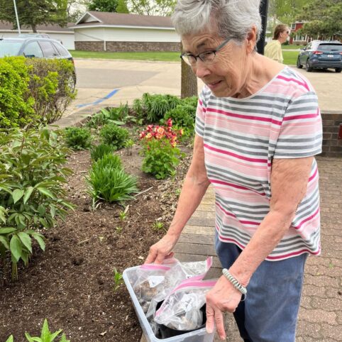an elder woman planting flowers